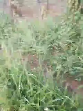 Snapshot of hotpussy-11 chatting on 12-11-24, 03:35 hotpussy-11 online show from 12-11-24, 03:35