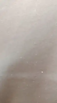 Snapshot of hotpussy-11 chatting on 01-31-25, 08:22 hotpussy-11 online show from 01-31-25, 08:22