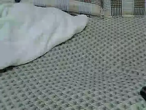 carey2 online show from 12-20-25, 05:03