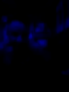 AlphaAlluring69 online show from 05-11-26, 05:46