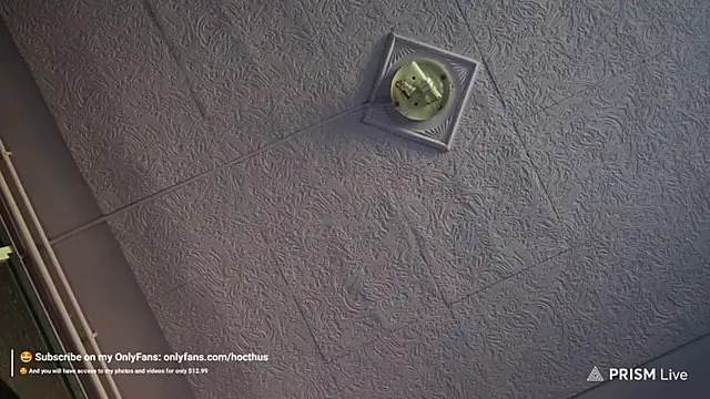 Snapshot of _Hocthus_ chatting on 03-17-25, 04:01 Hocthus online show from 03-17-25, 04:01