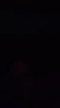 pachapeter online show from 10-04-25, 08:29