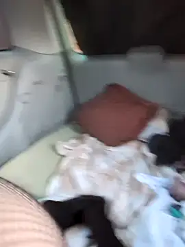 hotcd89 online show from 04-19-26, 12:26