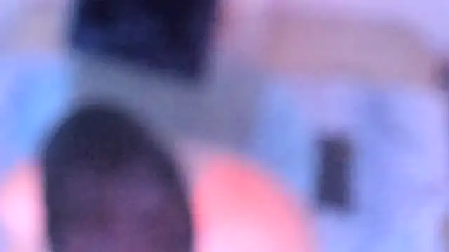 stillwild online show from 12-14-25, 10:20