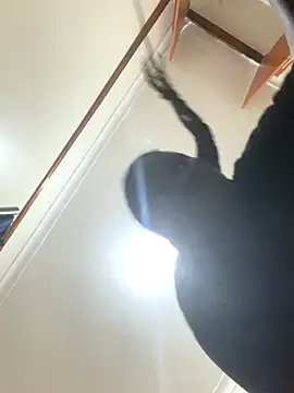 sweet18creamybigpussy online show from 11-05-25, 08:09