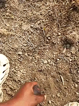 Ajith mvi online show from 02-18-26, 03:35