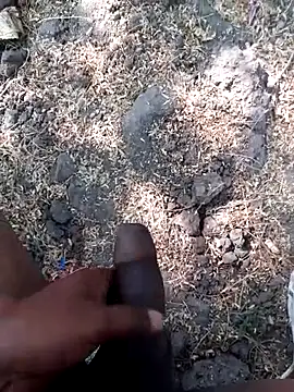 Ajith mvi online show from 03-12-26, 09:48