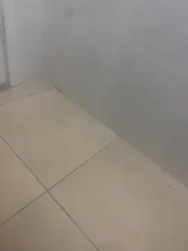 rafahpirusudo online show from 03-19-26, 08:29