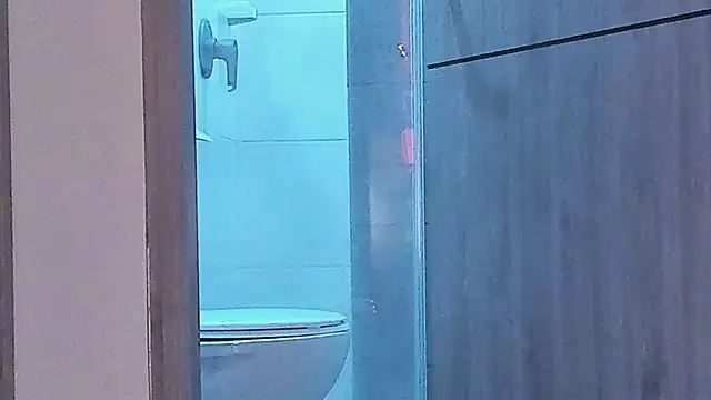 liamelf online show from 12-29-24, 09:39