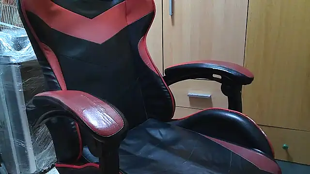 Javier bear online show from 03-16-26, 10:30