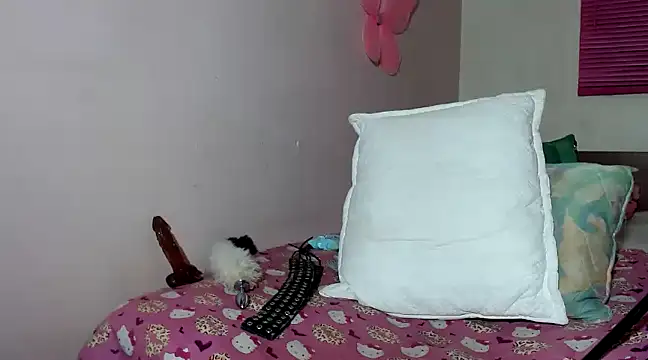 Snapshot of hazisabel chatting on 12-19-24, 03:40 hazisabel online show from 12-19-24, 03:40