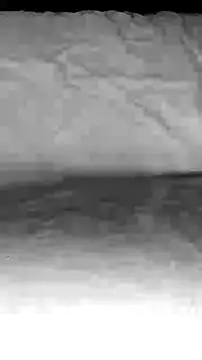 BigAssKi online show from 02-03-25, 03:06