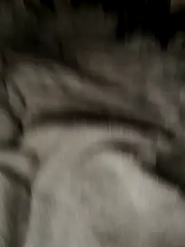 Snapshot of Tigerhill2023 chatting on 10-27-25, 09:13 Tigerhill2023 online show from 10-27-25, 09:13