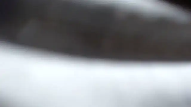 BERNINIBLUSHX89 online show from 03-10-25, 04:03