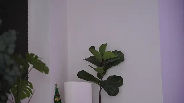 NicoleSarahX online show from 02-07-25, 11:24