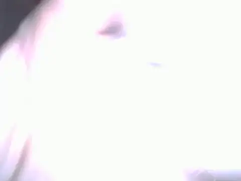 BobbyQ29 online show from 04-25-26, 12:24