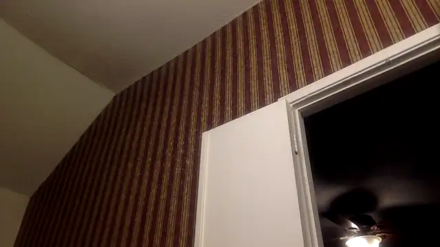 GForceSavage online show from 02-11-26, 05:56