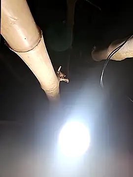 HotSexyBoudi online show from 02-26-26, 08:24