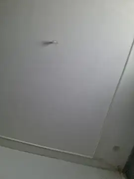 Maryan27 online show from 02-02-26, 11:53