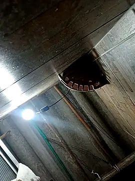 Restrepo300 online show from 10-03-25, 11:13