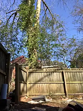 trash4cash online show from 01-28-25, 08:04