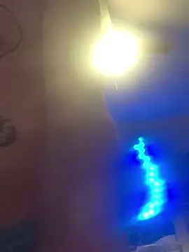 trash4cash online show from 02-06-25, 12:33