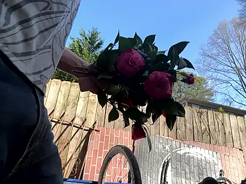 trash4cash online show from 03-07-25, 09:06