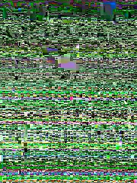 Snehameowwxh online show from 11-21-25, 04:16