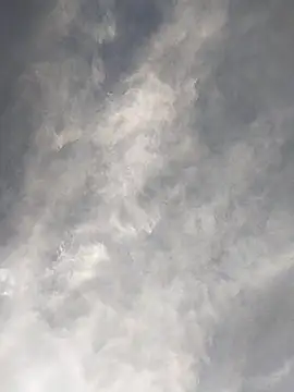 FloppyPickle4u online show from 02-17-25, 11:42