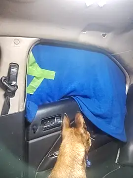 FloppyPickle4u online show from 02-18-25, 05:31