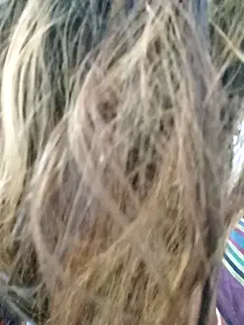 Snapshot of littlequeen77 chatting on 03-11-25, 08:31 littlequeen77 online show from 03-11-25, 08:31