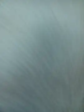 Snapshot of littlequeen77 chatting on 03-22-25, 04:03 littlequeen77 online show from 03-22-25, 04:03