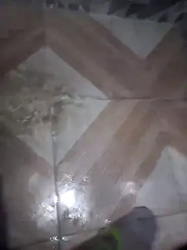 putosafado669 online show from 12-22-25, 01:19