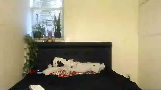 vixenpaisley2 online show from 12-07-24, 03:04