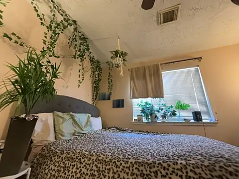 Snapshot of magicalc00ch chatting on 02-22-26, 05:33 magicalc00ch online show from 02-22-26, 05:33