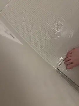 shiro 3 online show from 02-14-26, 12:46