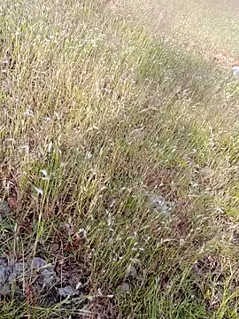 Snapshot of sexoooj chatting on 10-22-25, 10:37 sexoooj online show from 10-22-25, 10:37