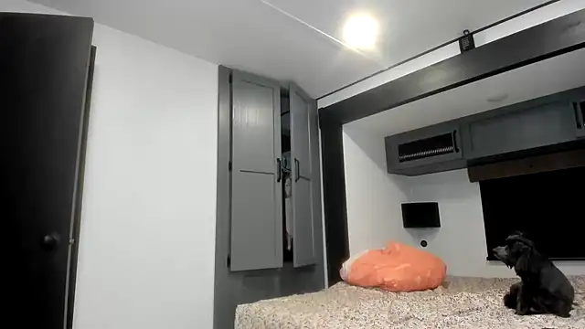 Persiasparadise online show from 02-16-26, 01:46