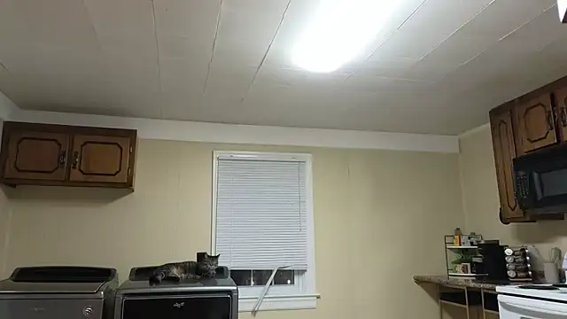 sexylilly69 online show from 10-13-25, 02:00