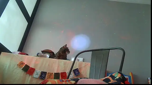 SexWorkerX online show from 02-24-26, 06:50