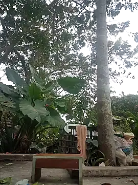 zizi public online show from 12-30-24, 07:26