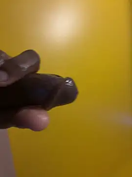 Snapshot of brosky-sx chatting on 03-31-26, 03:34 brosky-sx online show from 03-31-26, 03:34