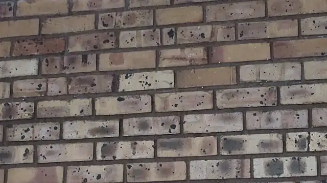 Astoria Moon online show from 12-21-24, 02:15