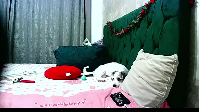 MikySWeet7 online show from 06-26-26, 05:06