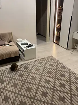 Big Mini online show from 01-23-25, 12:46