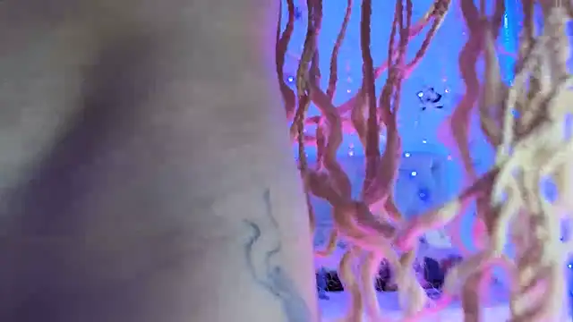 gabbiefoxthx online show from 02-01-25, 11:58