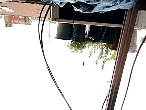 puak6666 online show from 09-29-25, 08:02