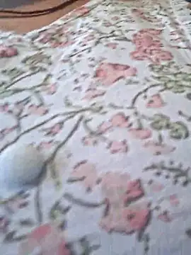 Snapshot of Priya_Bong chatting on 02-24-26, 03:48 Priya Bong online show from 02-24-26, 03:48