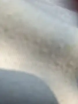 Snapshot of Priya_Bong chatting on 02-25-26, 04:00 Priya Bong online show from 02-25-26, 04:00