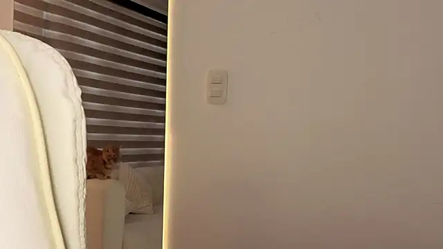 AtheneaRossi online show from 10-28-25, 12:41